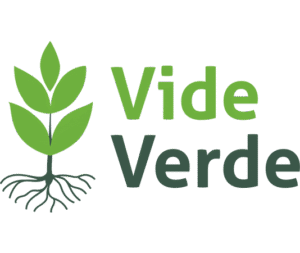 Vide Verde